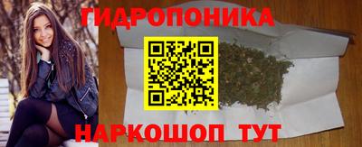 PSILOCYBIN Гусь-Хрустальный