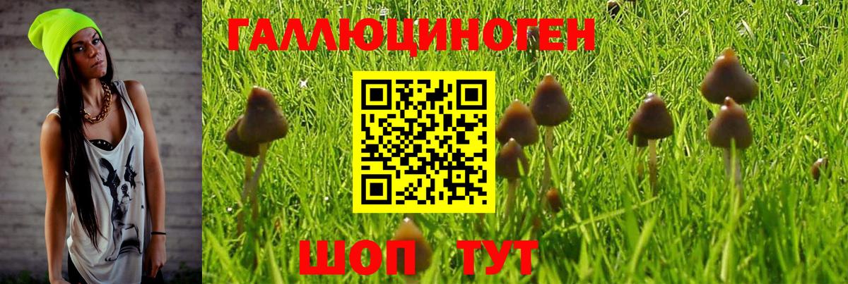 Галлюциногенные грибы Cubensis Заречный
